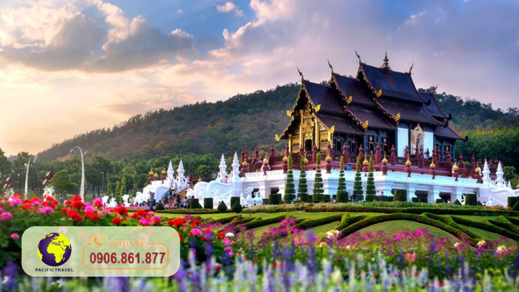 Tour Tour ChiangMai Giá Rẻ Pacific Travel