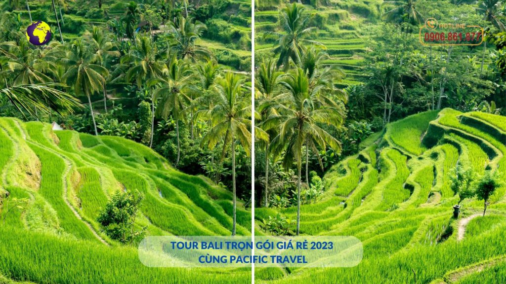 Tour-Bali-tron-goi-gia-re-2023-cung-Pacific-Travel