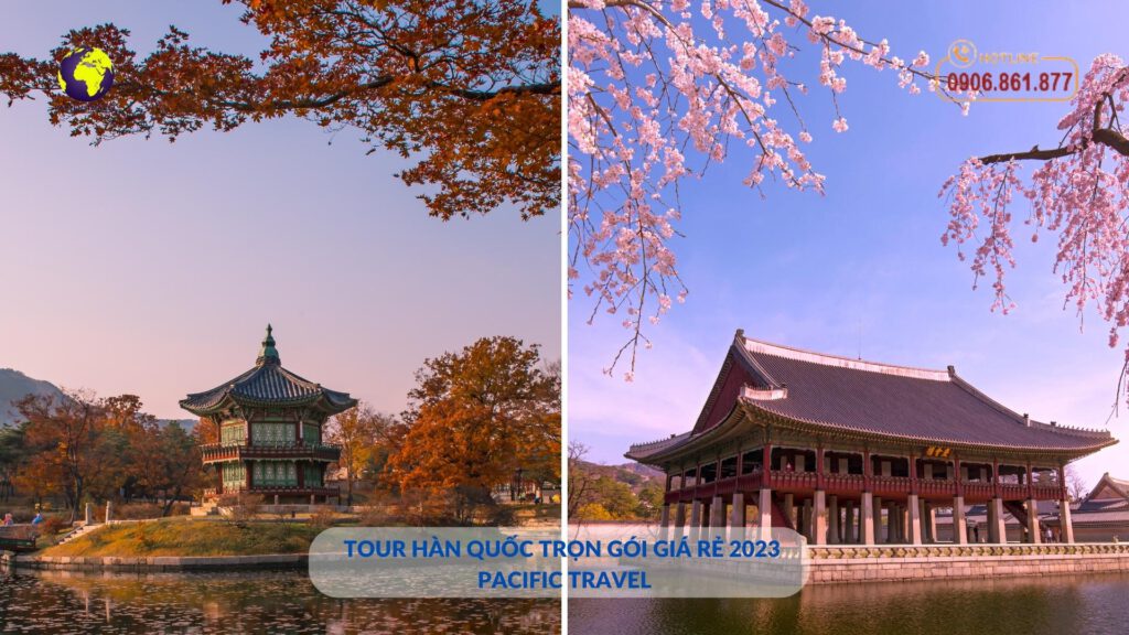 Tour-Han-Quoc-tron-goi-gia-re-2023-Pacific-Travel